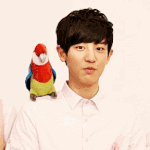 [EXO] 도인 박찬열
