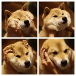 [EXO] 어떡해 너무귀<b>여무</b>ㅠㅠㅠㅠㅠㅠㅠ