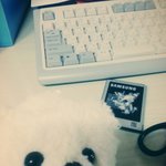 [EXO] 내일무대<b>위</b>에살포시던질곰동이털깎식전후..