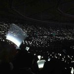 [EXO] 나비소녀떼<b>창애들</b>이들음?