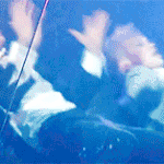 [시우민] 미니 &amp; 니니 더블새벽짤