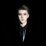 [EXO] 자비리스 오세훈