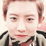 [EXO] 병먹금하고 <b>투표</b>나 잘하자.