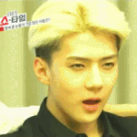[EXO] 왜 한강 가자고만 그래