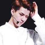 [EXO] 저는 고기를 안먹고 <b>양파</b>를 먹겠숨니다
