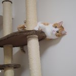 [유봉이네] 유봉이네 근황