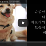 [공미니] 쓰레기장에 버려진 <b>개의</b> 기적의이야기