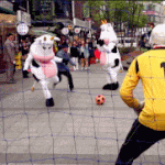 [짤북] 브라질 월드컵 기념 <b>헛발질</b> 움짤 모음