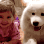 훈훈한 아기와 강아지 <b>움짤들</b>