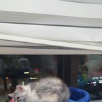 <b>볼살</b>이 흘러내리는 달콩이 .. .