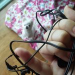 [메리일기] '너는 여자다' 말썽꾸러기 메리 일상 ㅋㅋ