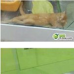[콜로라도] <b>입양</b>하든지 말든지....jpg