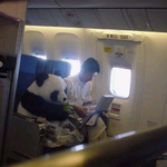 [EXO] 싸패질 그만하고 이거나 봐라