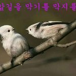[인피니트] 내앞길을막기를<b>막지</b>를마