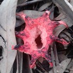 [공포베스트] <b>정체</b>를 알수없는 생명체