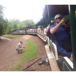 [남미여행] 신년 아르헨티나 이과수 악마의 목구멍>박우물과 남미여행...