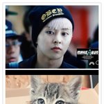 [시우민] <b>민석</b>이 닮은 냥이