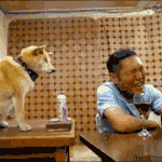 [추억파리여] 암내 방지견 <b>gif</b>