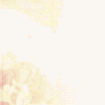 [백현] 싱잉인더레인 Cast 인터뷰 + 움짤