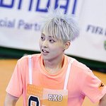 [시우민] 슈슴도치 시우민