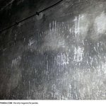 [<b>공포</b>베스트] 아우슈비츠 가스실 벽