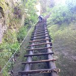 [공포베스트] 오르고 싶지 않는 <b>산길</b>