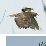 [소오름] 지각할뻔했는데 <b>매형</b>이 태워줌