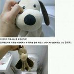 [공포베스트] 여름에 방치한 인형<b>손난로</b> 내용물