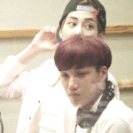 [EXO] 역시 판은 벽반이최고