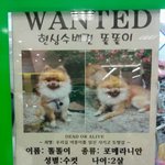 [피씨레몬] <b>복날</b>에도 살아남을 견 甲