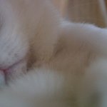 [<b>보리</b>이야기] <b>보리</b>이야기