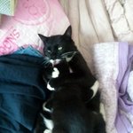 오랜만에 춘박이 사진 ㅎㅎ