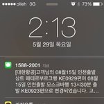 미친 대한항공