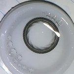 [댓글부탁] 이거 <b>렌즈</b> 이름좀