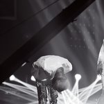 [EXO] @@@엑소투표좌표모음