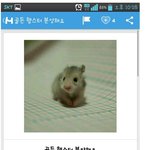 [피씨<b>레몬</b>] 오늘도 중고로운 평화나라