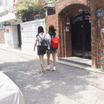 [유머] 골목에서 소떼를 만났을때.gif