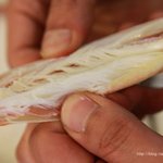 잠실맛집으로 유명한 대게나라 드디어 갔다왔어요 ㅎ