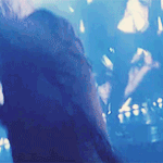 [카이] 앜!!쎅쒸하다!!아종인짜ㅇ!!!!