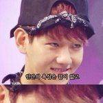 [팬픽] 대학생인 사람???