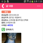 유심히 좀 봐주세요