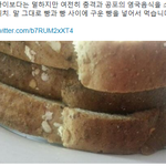 [콜로라도] 최악의 요리국이라는 어느나라의 음식<b>센스</b>