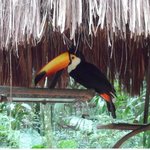 박우물과 남미여행 오창록기행문2,3-이과수에서 송구영신