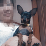 [미니핀칸] <b>말썽</b>쟁이 칸이가 왔어요 3편