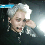 [EXO] <b>어서</b>와이런애는처음보지