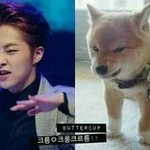 [EXO] <b>중독</b> 망했네 어쨌네 하면서도