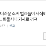 [소녀시대] 수지팬들은 왜 가만히있는 소시언급하는거임?+추가