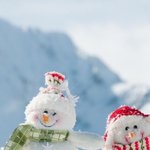 [팬픽] 졸업식의 어느날 급 써보았다..!