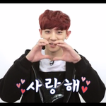 [EXO] 이번 ask in a box 왤캐재밌어?