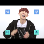 [EXO] 아난에스크인박스